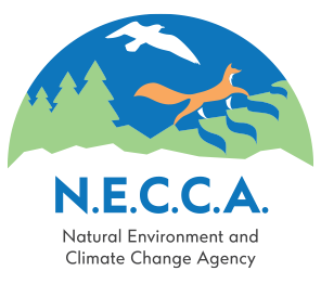 Natural Environment and Climate Change Agency (N.E.C.C.A)